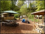The garden of the Falling Foss tearoom....