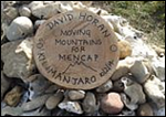 Fantastic effort David!