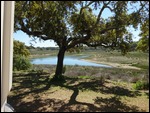 View from Motorhome at Campsite