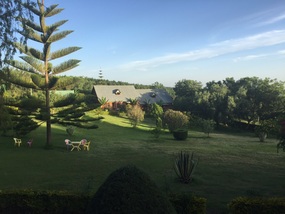 View from the bar at Snowcap Cottages