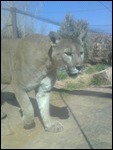 At the zoo