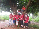 Monkeys in the tree