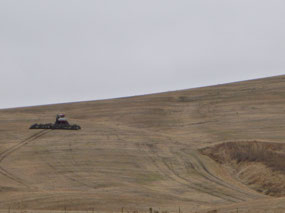 Farming the Hills