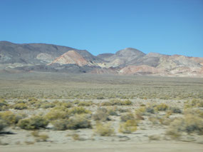 Sage Brush and More Sage Brush
