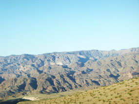 More Desert