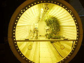 Space Food