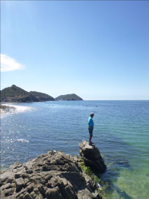 Checking out the Beach