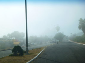 Mist 2