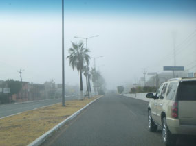 The Mist