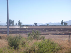 Farm Land