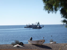 Shrimpers in the Bay