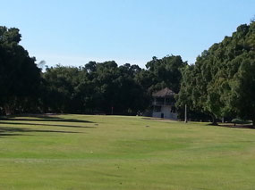 Hoya 15