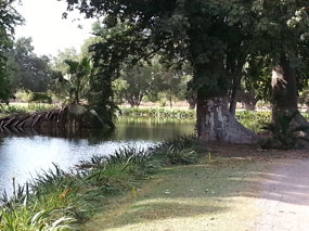 Irrigation Canal