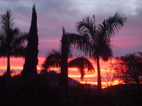 Spectacular Sunset