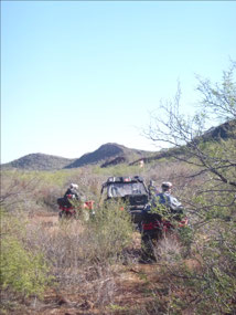 Through the Bush
