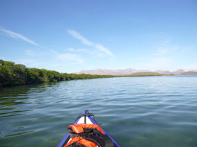 Early Morning in the Estuary