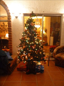 Outside Tree