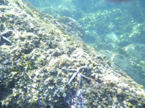 Under Water