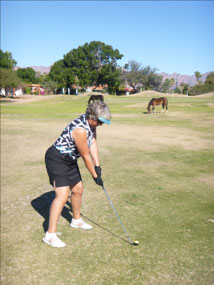 Horse in One