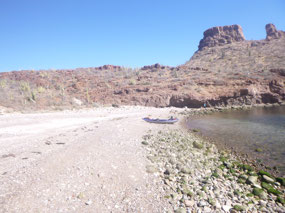 Martini Cove