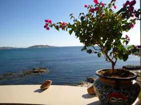 View from the Restaurant