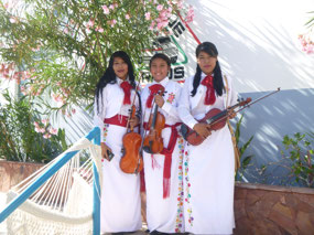 Young Musicians