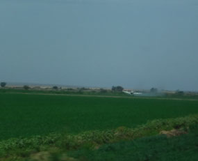 Crop Dusting