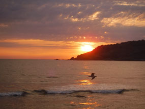 Mazatlan Sunset