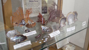 More Displays