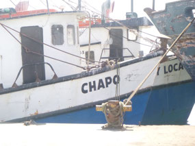 Shrimper