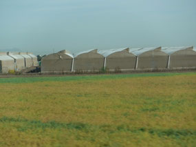 Tent City