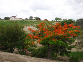 18th Tee
