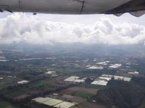 Agriculture Ecuador