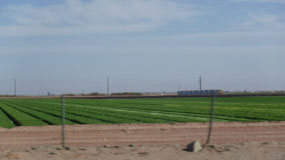 Surrounding Wellton