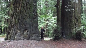Feeling Small