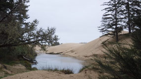 Oregon Dunes