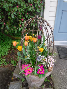 Spring Somewhere