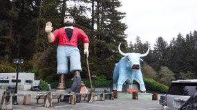 The Cheesey Redwoods