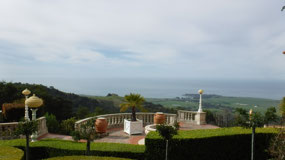 The Ocean View