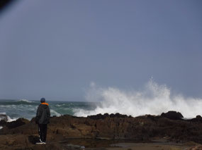 Watching the Waves