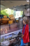 Cheeses at local market
