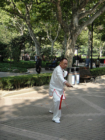 Sword master