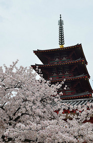 Pagoda of Shitennōji temple