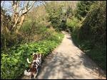 Cyclye path leading to Pentewan 
