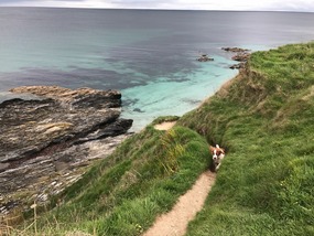 Gerrans Coves