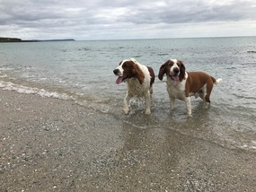 Cool down at Towan Beach heading to St Anthony Hea