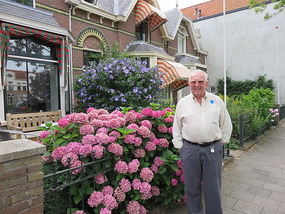 Gorgeous Flowers