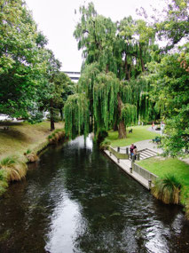 Avon River - Christchurch