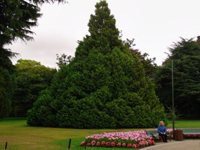 Christchurch Botanical Gardens