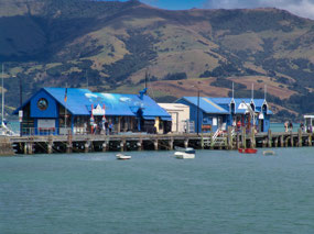 Akaroa Dolphin Adventure dock